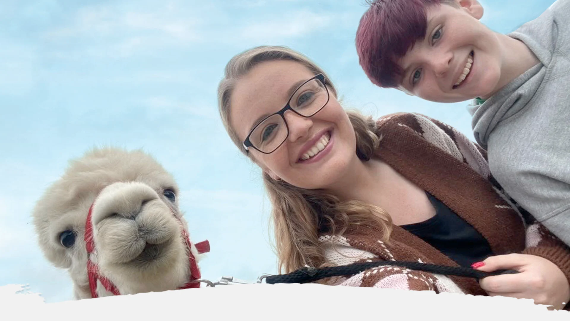best alpaca experience ireland kilkee