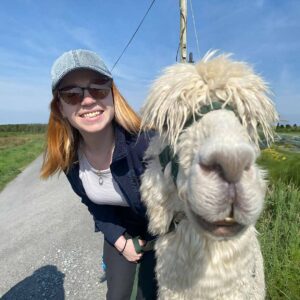 Guided alpaca walks in clare Ireland