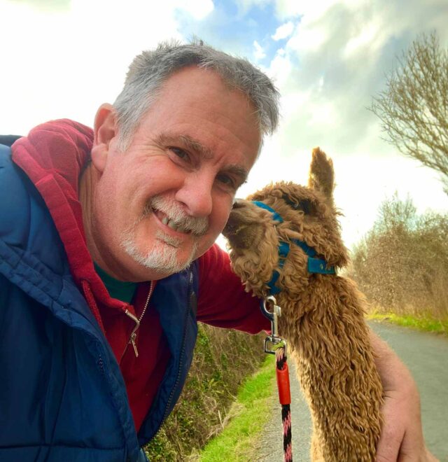Private alpaca tours with the flying alpaca, clare Ireland