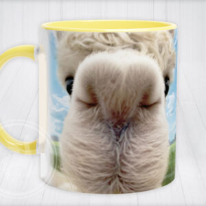Willow mug Ireland