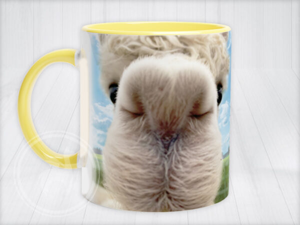Willow mug Ireland