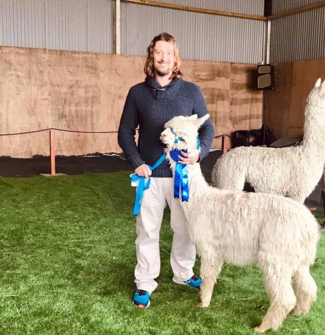Contact The Flying Alpaca stud service, Kilkee, Clare, Ireland