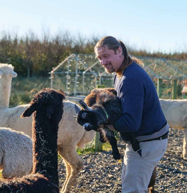 Meet Mike at The Flying Alpaca Ireland