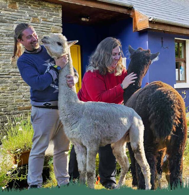 Mike & Barbara from The Flying Alpaca Ireland