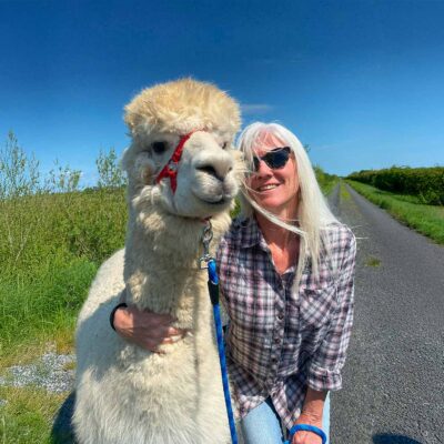 Book the alpaca walk experience Ireland, The Flying Alpaca, Kilkee, Clare