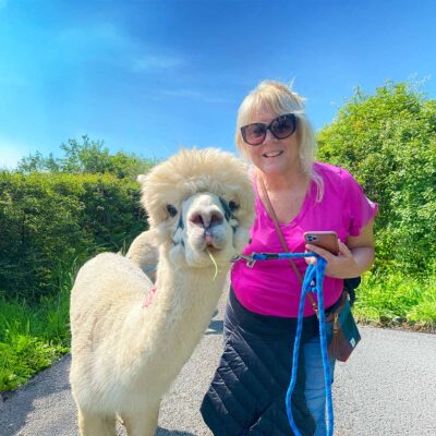 Book the alpaca walk experience Ireland, visit The Flying Alpaca, Kilkee, Clare, Ireland