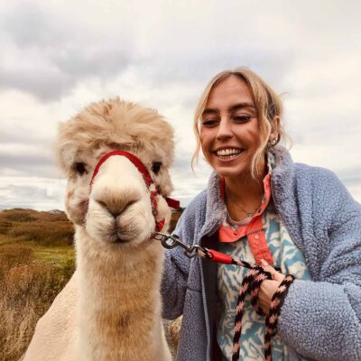 Book the alpaca walk experience Kilkee, visit The Flying Alpaca