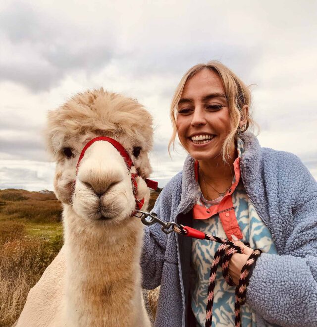 The alpaca walk experience Kilkee, visit The Flying Alpaca