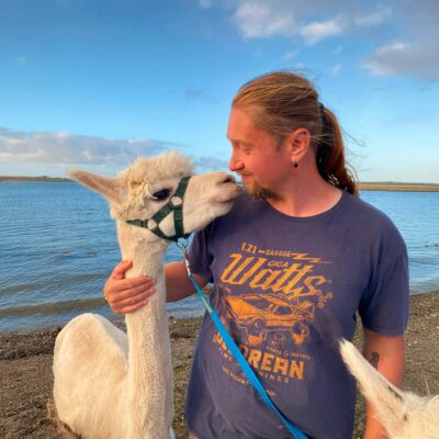 Book the alpaca walk experience Kilkee, Ireland, visit The Flying Alpaca