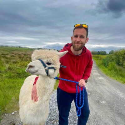 Book the alpaca walk experience with The Flying Alpaca, Clare Ireland