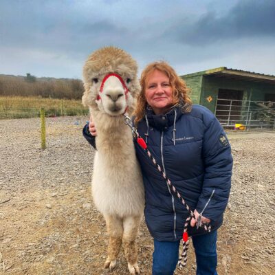 Book the alpaca walk experience Clare Ireland, The Flying Alpaca