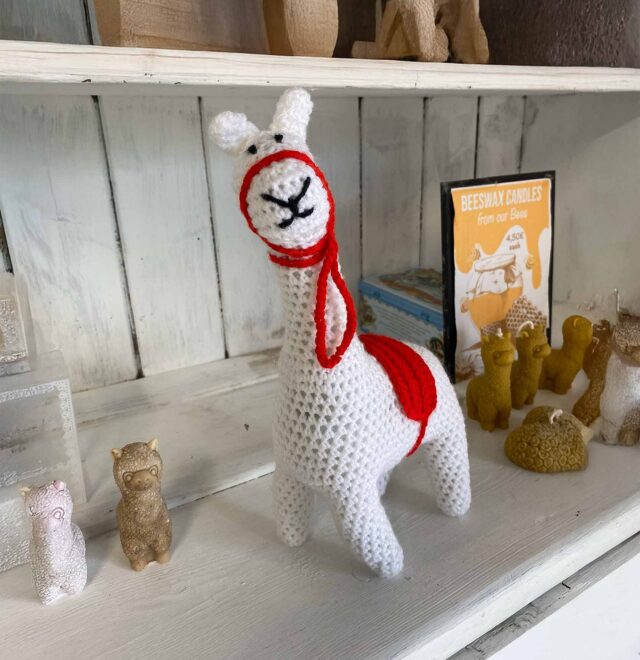 Award winning quality alpaca wool from the flying alpaca, kilkee Ireland
