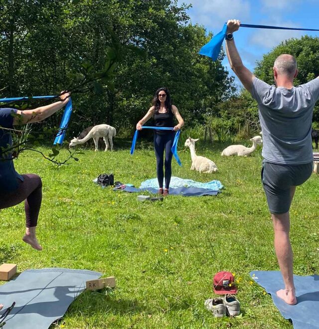 Bespoke alpaca experiences at The Flying Alpaca, Kilkee Clare Ireland