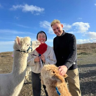 Love & Alpacas Experience, Kilkee
