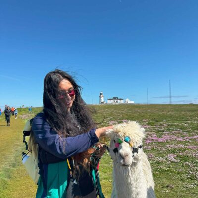 Alpaca Walks at the Loop Head Lighthouse, The Flying Alpaca 10
