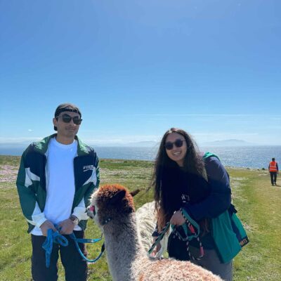 Alpaca Walks at the Loop Head Lighthouse, The Flying Alpaca 11