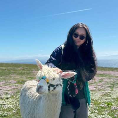 Alpaca Walks at the Loop Head Lighthouse, The Flying Alpaca 13