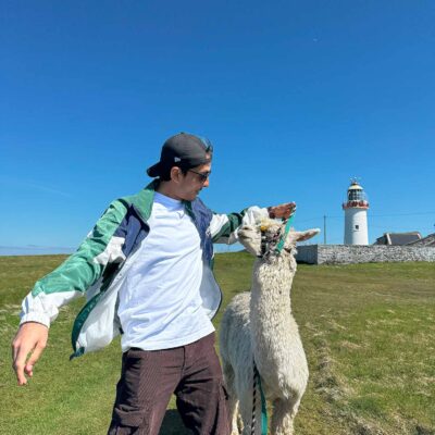 Alpaca Walks at the Loop Head Lighthouse, The Flying Alpaca 3