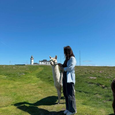 Alpaca Walks at the Loop Head Lighthouse, The Flying Alpaca 4