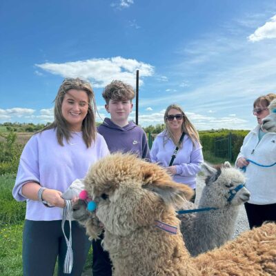 Full Alpaca Experience, The Flying Alpaca 1