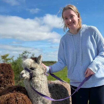 Full Alpaca Experience, The Flying Alpaca 2