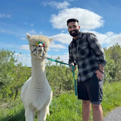 Full Alpaca Experience, The Flying Alpaca 5.