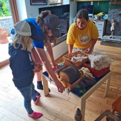 The Flying Alpaca farmhouse and gift shop
