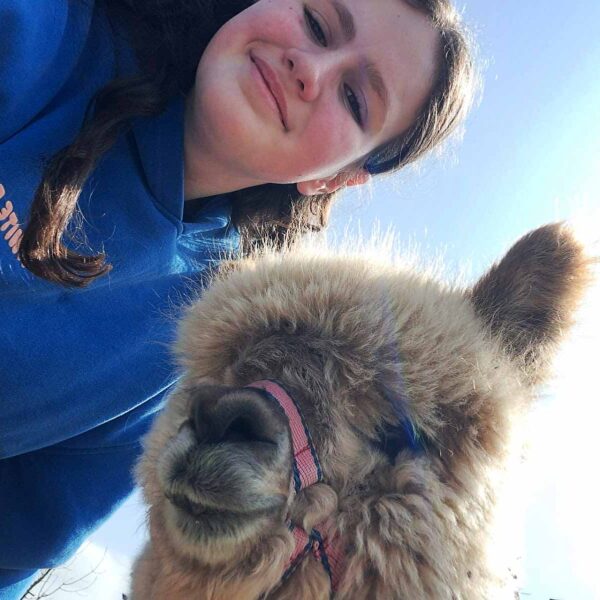 Meet cloud, The Flying Alpaca, Kilkee Ireland 4.
